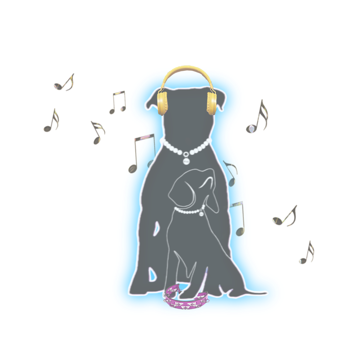 "Music Collection"