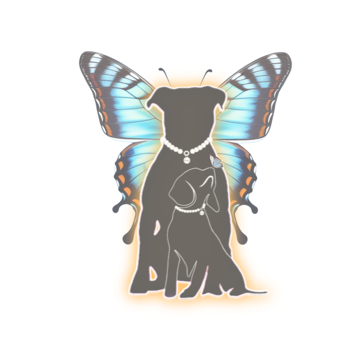 Butterfly Collection