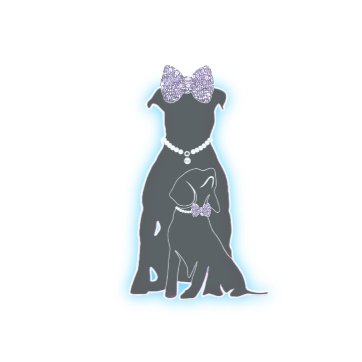 "Bow Collection"