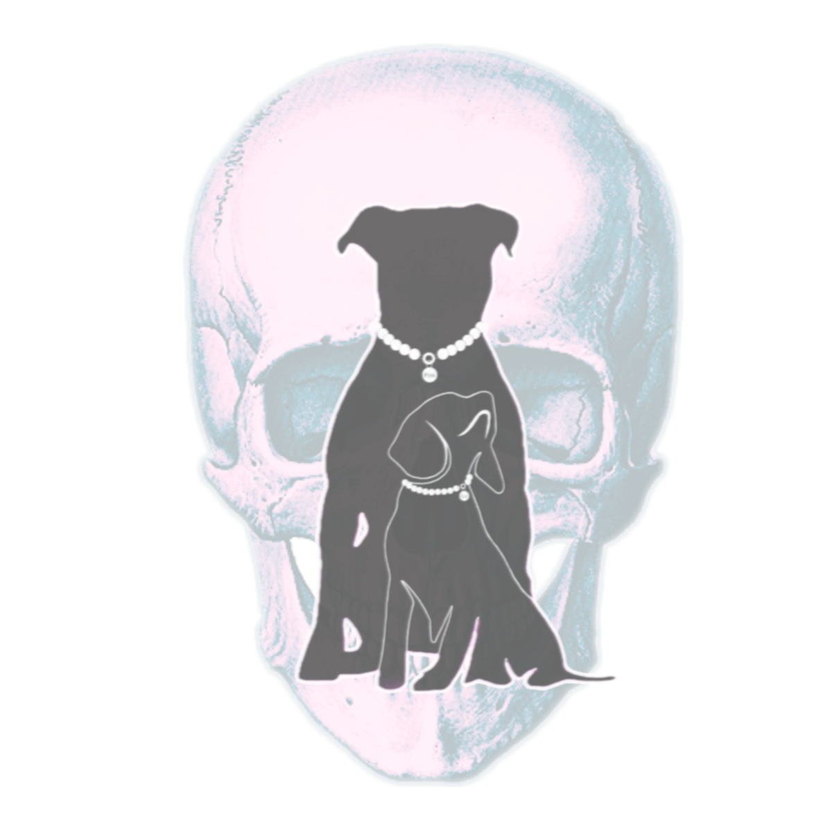 Skull Collection